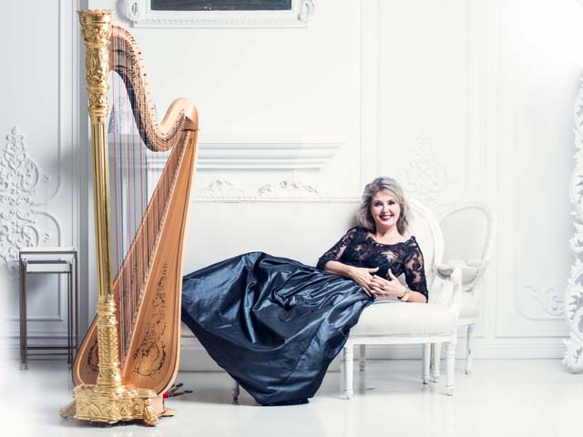 Kateřina Englichová, Vladimír Javorský hudební setkání