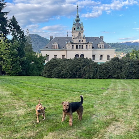 hudební setkání michal mašek